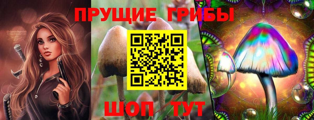 Псилоцибиновые грибы Magic Shrooms  Вход с VPN  Великий Устюг  Псилоцибиновые грибы мицелий 